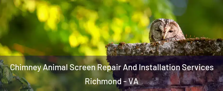  Chimney Animal Screen Repair And Installation Services Richmond - VA