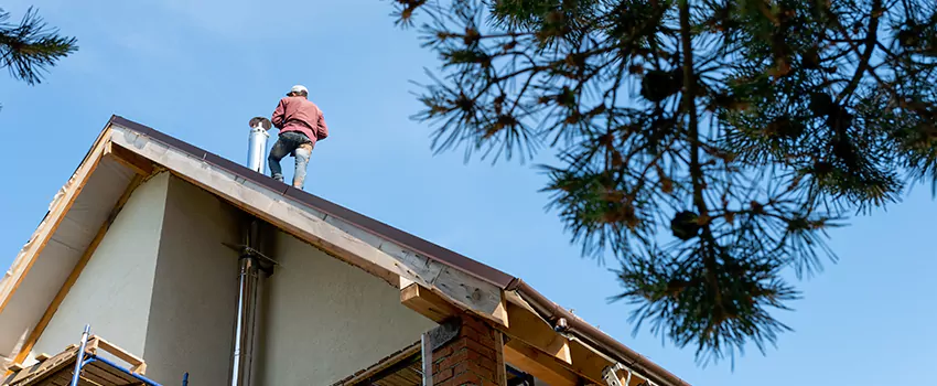 Birds Removal Contractors from Chimney in Richmond, VA